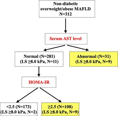 Sequential algorithm to stratify liver fibrosis risk in overweight/obese metabolic dysfunction-associated fatty liver disease